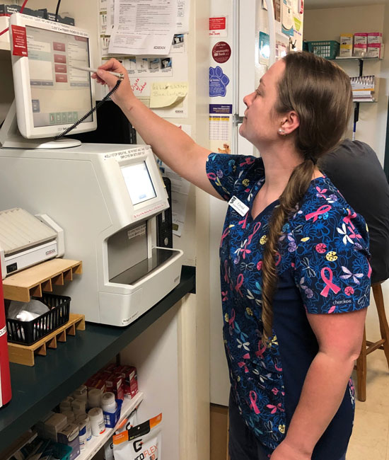 Dental Care Vet in Cooperstown Heritage Vet Clinic