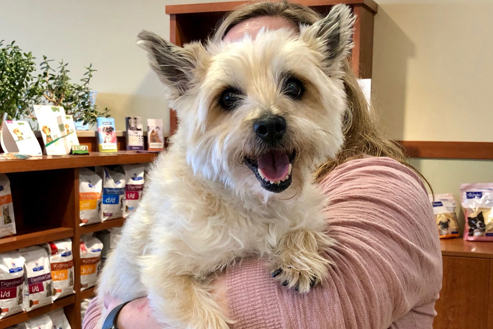 Dental Care Vet in Cooperstown Heritage Vet Clinic