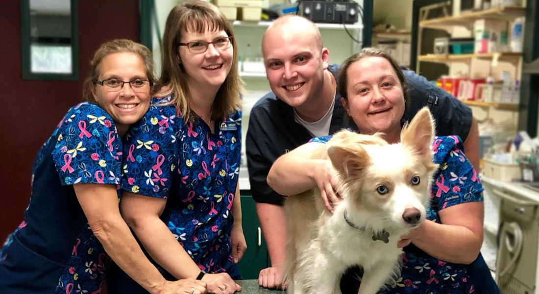 Careers Vet in Cooperstown Heritage Vet Clinic