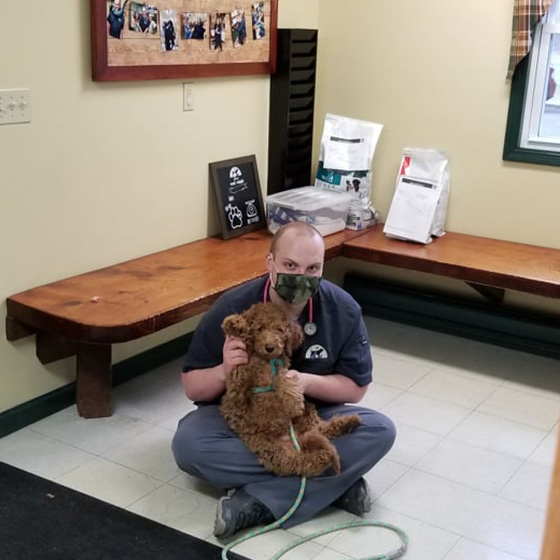Veterinarian in Cooperstown Vet Near You Heritage Vet Clinic