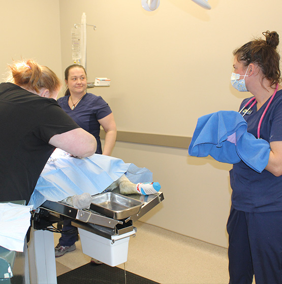 Surgery Vet in Cooperstown Heritage Vet Clinic