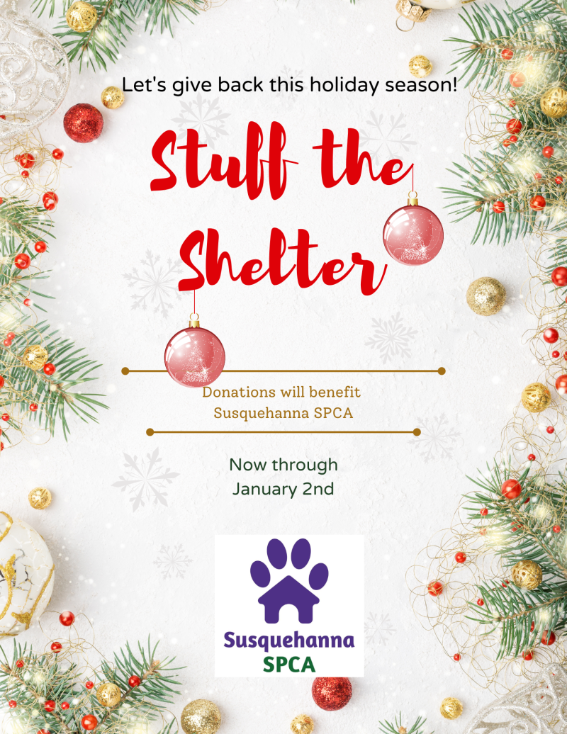 Interpreting Your Pet’s Blood Work Heritage Vet Clinic