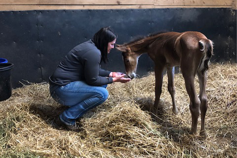 Landing Vet in Cooperstown Heritage Vet Clinic